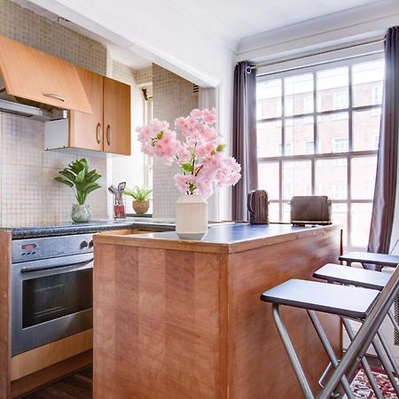 Cozy Studio In Central London Apartment Bagian luar foto